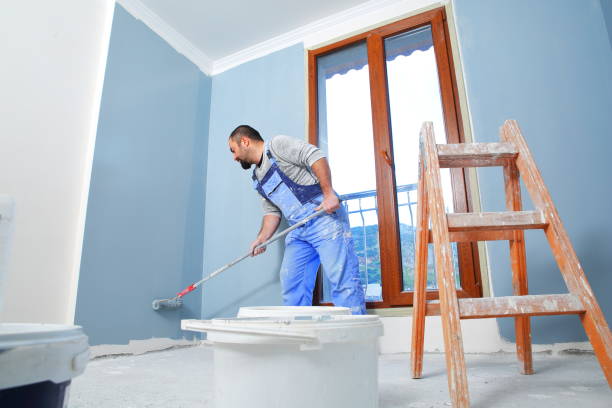 Best Commercial Mold Inspection  in Steger, IL