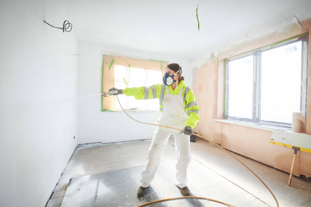 Best Mold Remediation for Healthcare Facilities  in Steger, IL