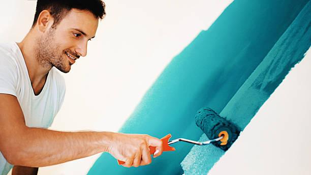 Best HVAC Mold Inspection and Cleaning  in Steger, IL